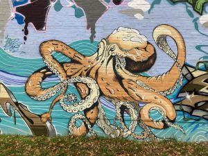 Graffiti, das einen Oktopus darstellt